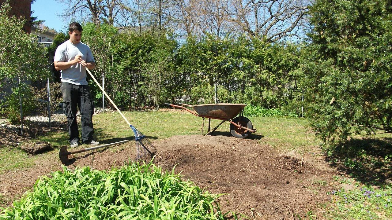 كيفية زرع العشب بشكل صحيح في قطعة أرض